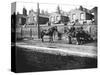 Horses Used for Towing Resting by the Side of a Canal, London, C1905-null-Stretched Canvas