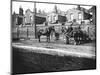 Horses Used for Towing Resting by the Side of a Canal, London, C1905-null-Mounted Photographic Print