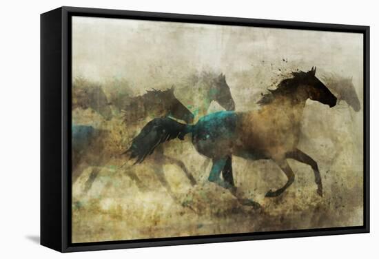 Horses, Wild and Free-Ken Roko-Framed Stretched Canvas