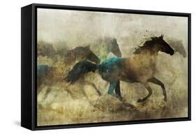 Horses, Wild and Free-Ken Roko-Framed Stretched Canvas