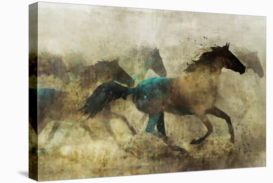 Horses, Wild and Free-Ken Roko-Stretched Canvas