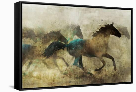 Horses, Wild and Free-Ken Roko-Framed Stretched Canvas