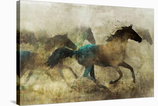 Horses, Wild and Free-Ken Roko-Stretched Canvas