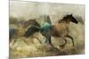 Horses, Wild and Free-Ken Roko-Mounted Art Print