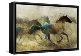 Horses, Wild and Free-Ken Roko-Framed Stretched Canvas