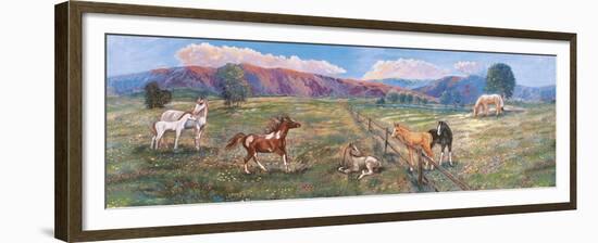 Horses with Fence in Pasture-Judy Mastrangelo-Framed Giclee Print
