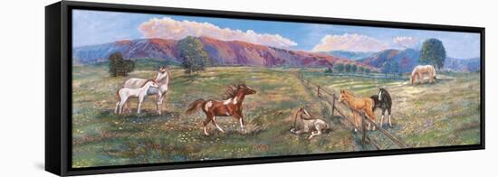 Horses with Fence in Pasture-Judy Mastrangelo-Framed Stretched Canvas