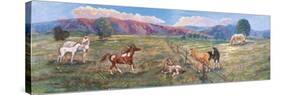 Horses with Fence in Pasture-Judy Mastrangelo-Stretched Canvas