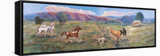 Horses with Fence in Pasture-Judy Mastrangelo-Framed Stretched Canvas