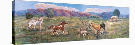 Horses with Fence in Pasture-Judy Mastrangelo-Stretched Canvas