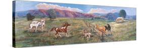Horses with Fence in Pasture-Judy Mastrangelo-Stretched Canvas