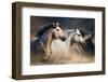 Horses with Long Mane Portrait Run Gallop in Desert Dust-Callipso-Framed Photographic Print