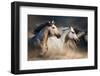 Horses with Long Mane Portrait Run Gallop in Desert Dust-Callipso-Framed Photographic Print