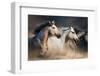 Horses with Long Mane Portrait Run Gallop in Desert Dust-Callipso-Framed Photographic Print