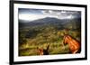 Horses with Mountain View-Nish Nalbandian-Framed Premium Giclee Print