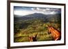 Horses with Mountain View-Nish Nalbandian-Framed Premium Giclee Print