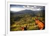 Horses with Mountain View-Nish Nalbandian-Framed Premium Giclee Print