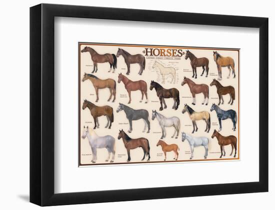 Horses-null-Framed Art Print