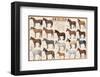 Horses-null-Framed Art Print