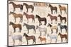 Horses-null-Mounted Art Print
