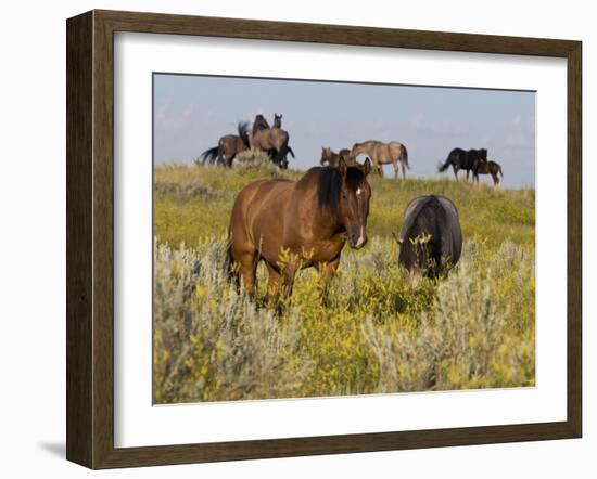 Horses-Gordon Semmens-Framed Photographic Print