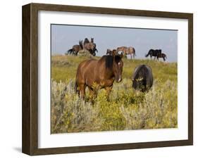 Horses-Gordon Semmens-Framed Photographic Print