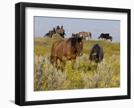 Horses-Gordon Semmens-Framed Photographic Print