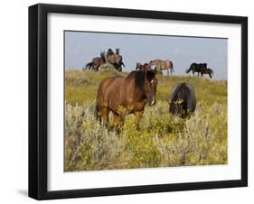 Horses-Gordon Semmens-Framed Photographic Print