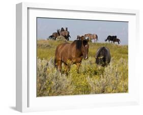 Horses-Gordon Semmens-Framed Photographic Print