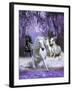 Horses-Bob Langrish-Framed Photographic Print