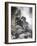 Horses-Bob Langrish-Framed Photographic Print