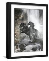 Horses-Bob Langrish-Framed Photographic Print