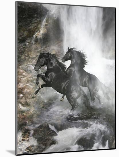 Horses-Bob Langrish-Mounted Photographic Print