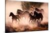 Horses-Lisa Dearing-Stretched Canvas