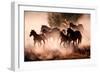 Horses-Lisa Dearing-Framed Photographic Print