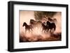 Horses-Lisa Dearing-Framed Photographic Print