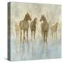 Horses-Randy Hibberd-Stretched Canvas