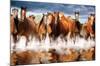 Horses-Trends International-Mounted Poster