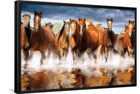 Horses-Trends International-Framed Poster