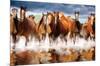 Horses-Trends International-Mounted Poster