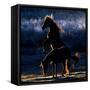 Horses-Chuanxu Ren-Framed Stretched Canvas