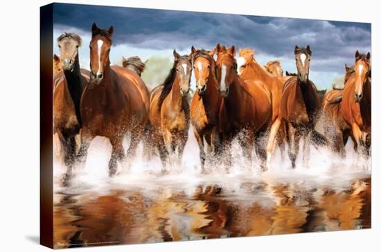 Horses-Trends International-Stretched Canvas