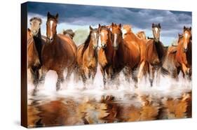 Horses-Trends International-Stretched Canvas