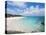 Horseshoe Bay Beach, Bermuda, Central America-Michael DeFreitas-Stretched Canvas