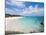 Horseshoe Bay Beach, Bermuda, Central America-Michael DeFreitas-Mounted Photographic Print
