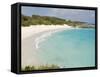 Horseshoe Bay Beach, Bermuda-Michael DeFreitas-Framed Stretched Canvas