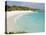 Horseshoe Bay Beach, Bermuda-Michael DeFreitas-Stretched Canvas