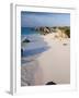 Horseshoe Bay, South Coast Beaches, Southampton Parish, Bermuda-Gavin Hellier-Framed Photographic Print