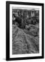 Horseshoe Bend BW 1 of 3-Moises Levy-Framed Photographic Print