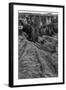 Horseshoe Bend BW 1 of 3-Moises Levy-Framed Photographic Print